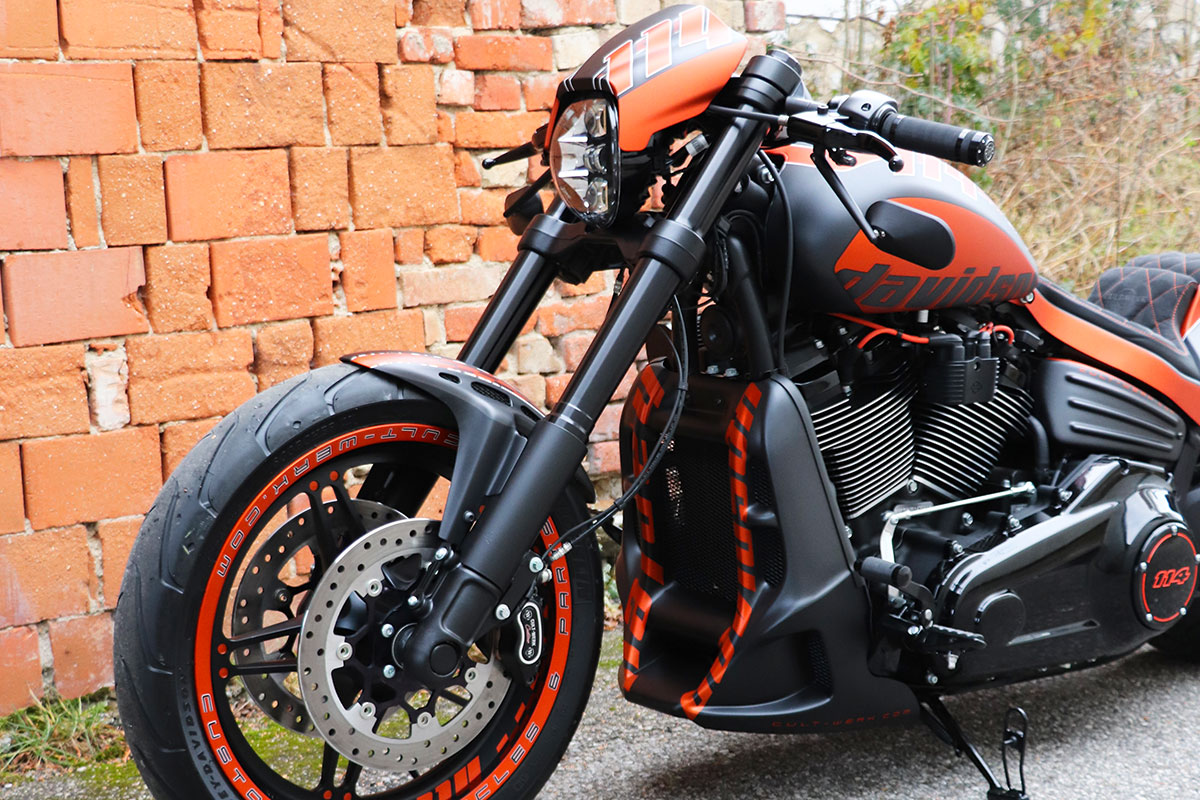 HARLEY SOFTAIL - Untere Gabel Cover (BJ. ab 2018)