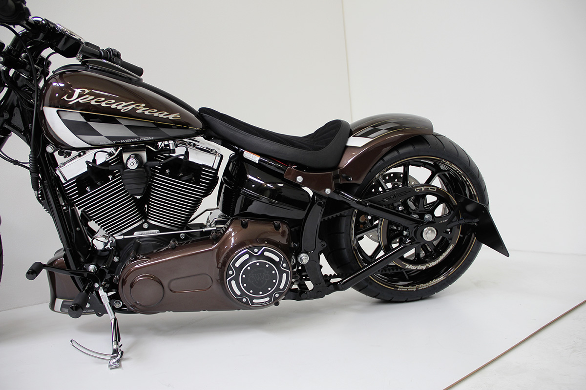 Kennzeichenhalter mit TÜV (passend für Harley-Davidson Modelle: Breakout 2013 - 2017)