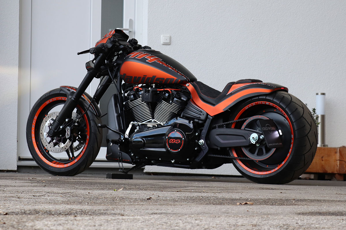 Kennzeichenhalter mit TÜV (passend für Harley-Davidson Modelle: FXDR ab 2019)