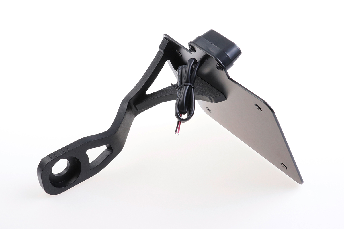 INDIAN SCOUT - Kennzeichenhalter mit TÜV (BJ. Scout Modelle ab 2015)