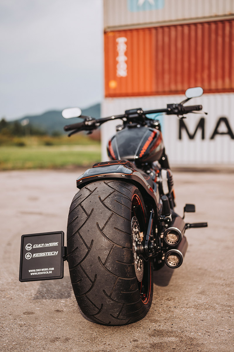 HARLEY SOFTAIL - Kennzeichenhalter inkl. Einschubrahmen mit TÜV (BJ. ab 2018)