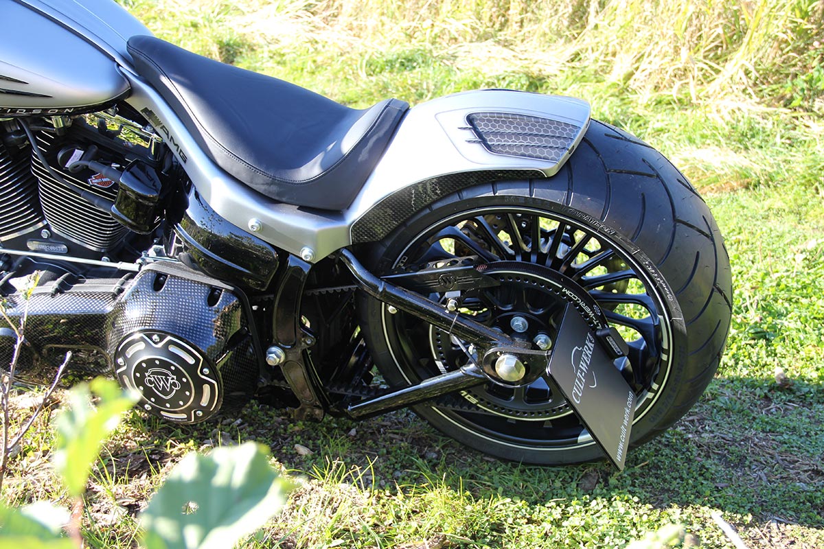 HARLEY BREAKOUT - Kennzeichenhalter mit TÜV (BJ. 2013 - 2017)