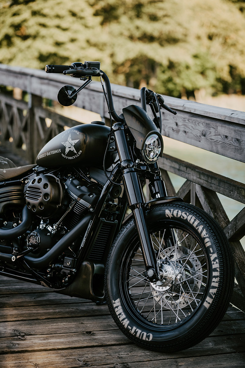 HARLEY SOFTAIL - Bugspoiler BOBBER (BJ. Softail ab 2018)