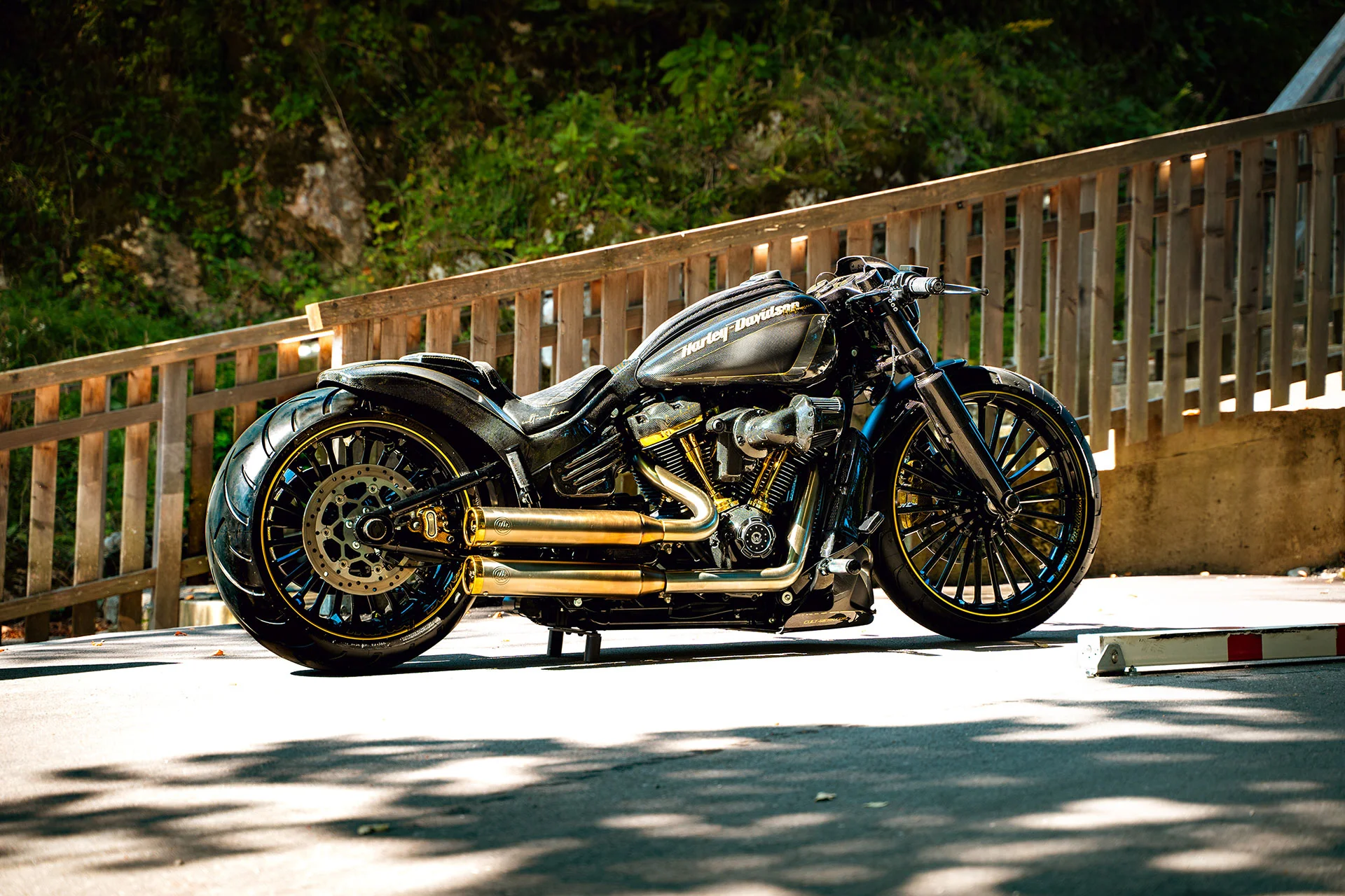 Carbon_bro_01