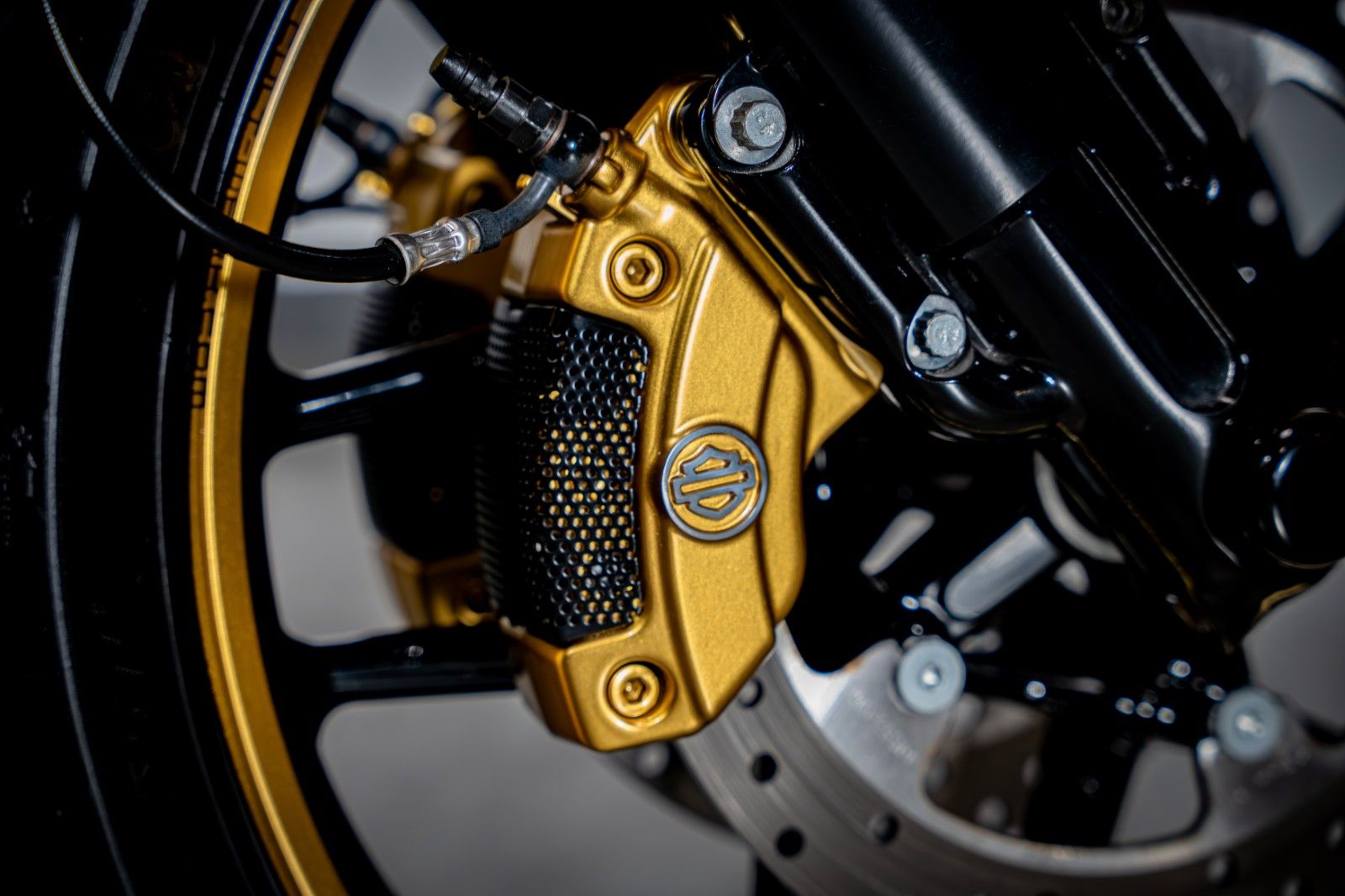 HARLEY DAVIDSON V-Rod Night Rod Special "Rothmans" by CW