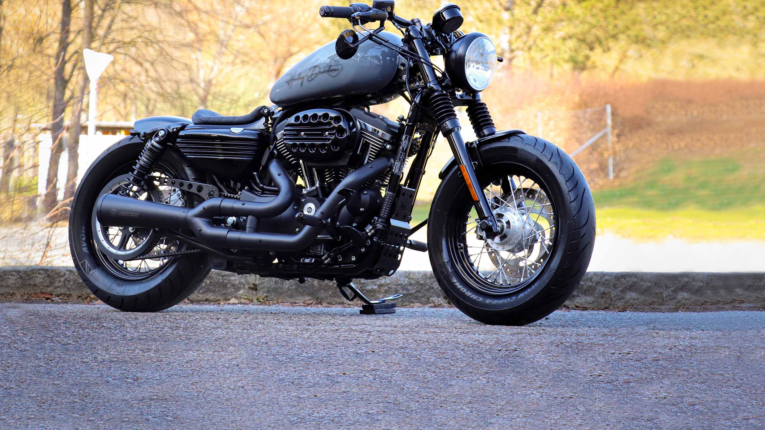 Cult-Werk® | suitable for SPORTSTER Models!