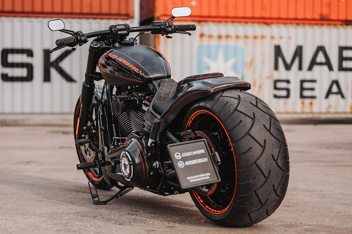 HARLEY SOFTAIL - Kennzeichenhalter inkl. Einschubrahmen mit TÜV (BJ. ab 2018)